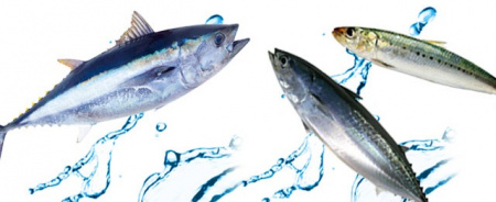 Ogaland Омега-3 (ЭПК и ДГК) c α-Линоленовой кислотой