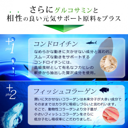 Ogaland Глюкозамин и Хондроитин и Коллаген