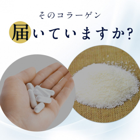 Ogaland Низкомолекулярный Морской Коллаген и Хондроитин