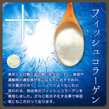 Ogaland Плацента 50-кратно концентрированная