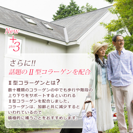 Ogaland Глюкозамин и Хондроитин и Коллаген