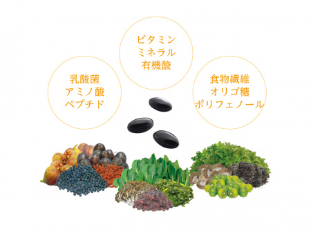 Dr.OHHIRA OM-X Deluxe5 Пробиотики